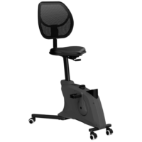 Office bike Deluxe with backrest.