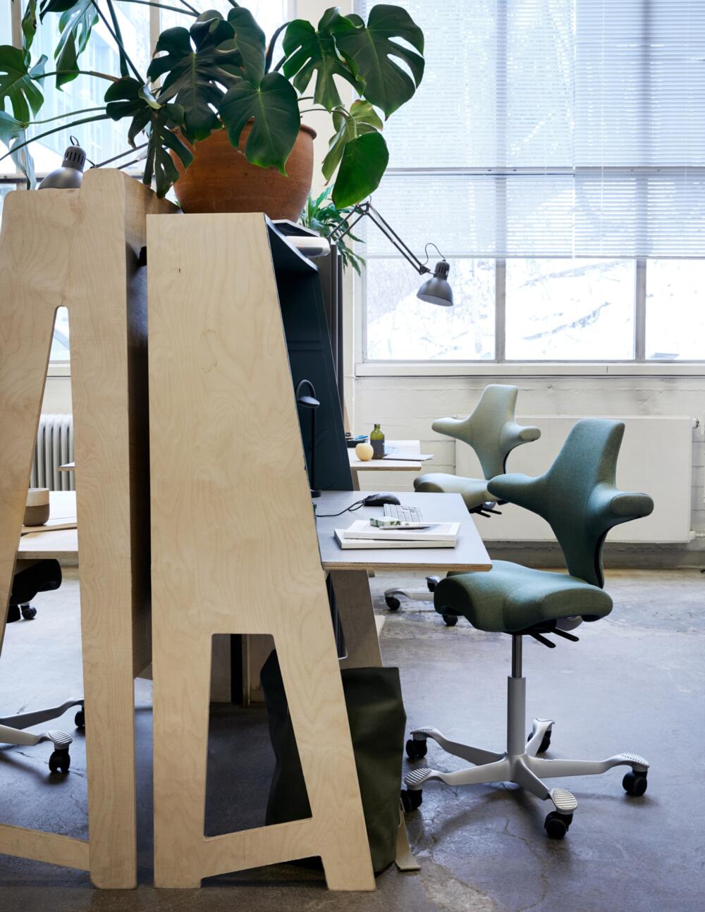 HAG Capisco 8106  in meerdere kleuren