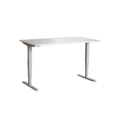 Ergo2Move 1M Elektrischer Sitz-Steh-Schreibtisch silber | Inkl. weißer Tischplatte: 120 x 80 cm