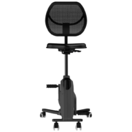 Office bike Deluxe with backrest. thumbnail