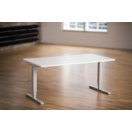 Ergo2Move 1M Elektrisch zit-sta bureau zilver | Incl. wit tafelblad 120 x 80 cm thumbnail