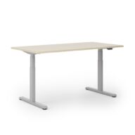 STEELFORCE 1050 Elektrisch Bureau Onderstel Zilver thumbnail